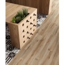 Гранитогрес Barkwood Natural